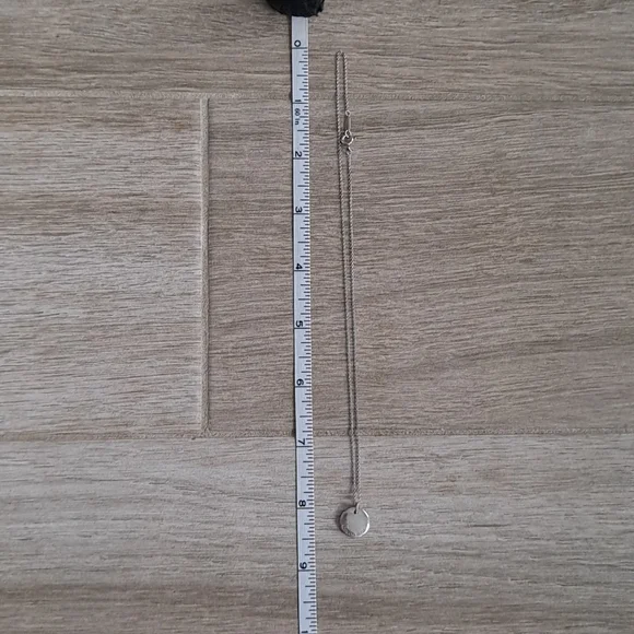 Authentic Tiffany & Co. S pendant necklace - Picture 6 of 9